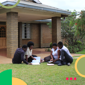 Diploma in Primary Education